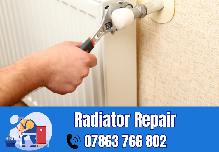 radiator repair and installation Appleton